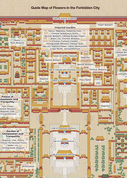 导游花在紫禁城的地图