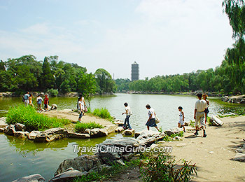 北京大学