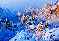 天子山雪景