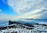 雪的风景