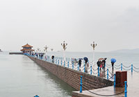 Zhan Bridge, Qingdao